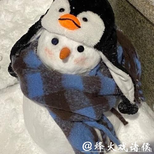 那叠皱巴巴的100美金，还有那份仓促写就的申诉书，最后连冰场裁判席的桌子都没递上去