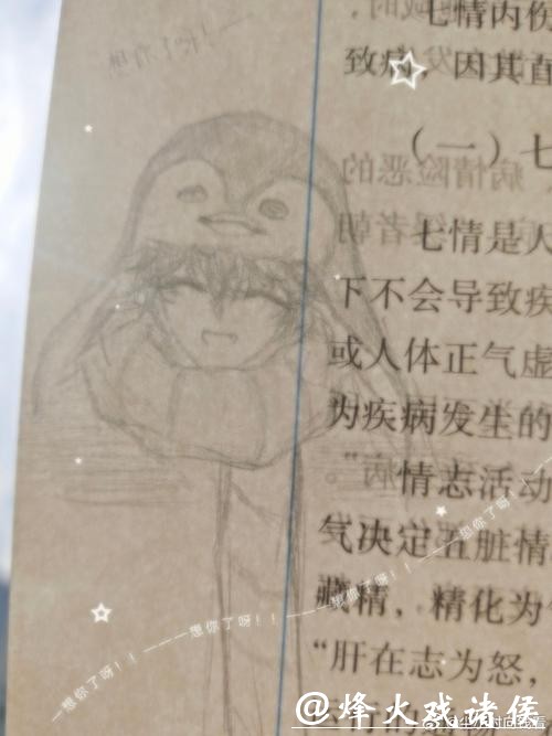 那叠皱巴巴的100美金，还有那份仓促写就的申诉书，最后连冰场裁判席的桌子都没递上去