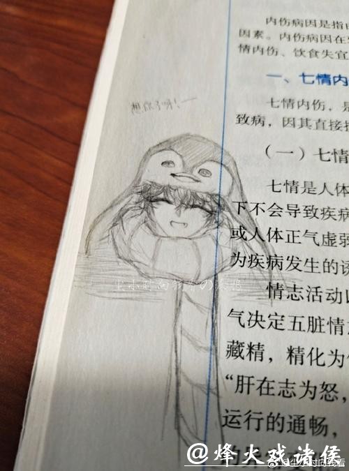 那叠皱巴巴的100美金，还有那份仓促写就的申诉书，最后连冰场裁判席的桌子都没递上去